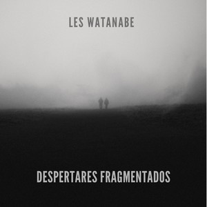 Despertares Fragmentados