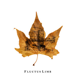 Fluctus Limb