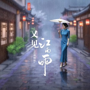 又见江南雨（相随DJ版）