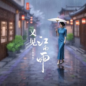 又见江南雨 (相随DJ版)