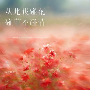 从此我碰花碰草不碰情 (伴奏)