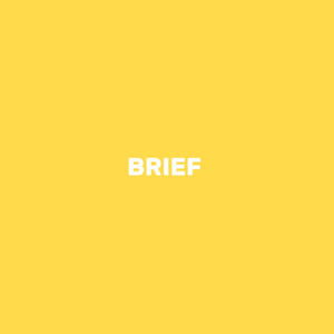 Brief (Explicit)