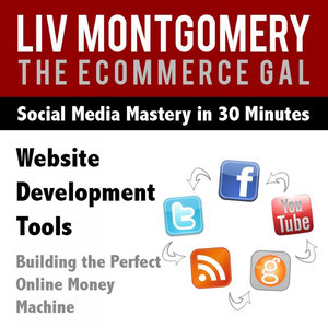 Website Development Tools: Building the Perfect Online Money Machine