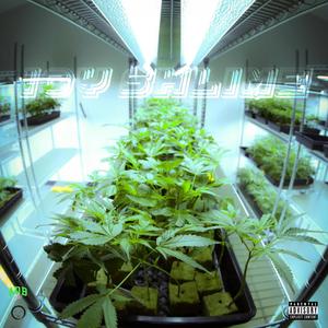 ICY SHLIME (Explicit)