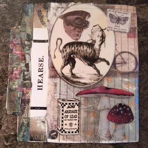 Who's my favorite Brady?