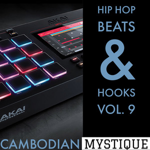 Hip Hop Beats & Hooks, Vol. 9