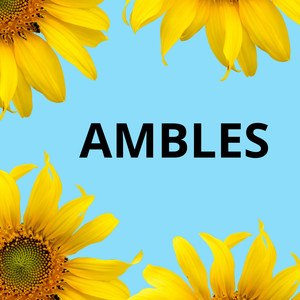AMBLES