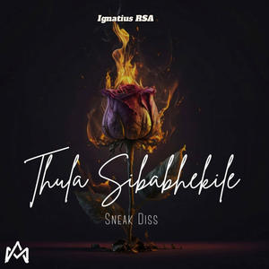 Thula Sibabhekile (Sneak Diss) (feat. Ignatius RSA, Kidd Kaygee, Cody, Mof_Fet & T-Cole)