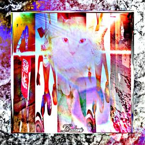 Zaadaroonie (feat. leo37, Seth E-Bee & November Day) (Explicit)