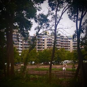 fly melodies (Explicit)