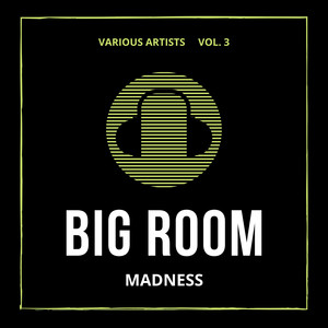 Big Room Madness, Vol. 3