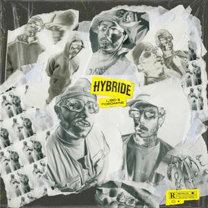 HYBRIDE (Explicit)