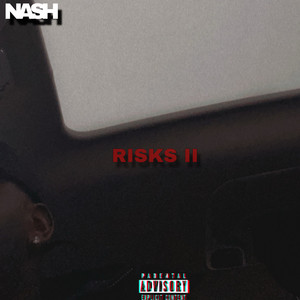 Risks II (Explicit)