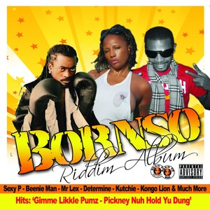 Bornso riddim album (Explicit)