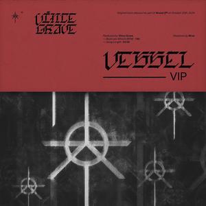 Vessel VIP