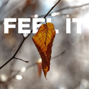Feel It (Explicit)