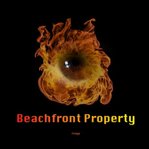 Beachfront Property