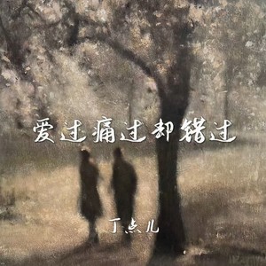 丁点儿 - 爱过痛过却错过