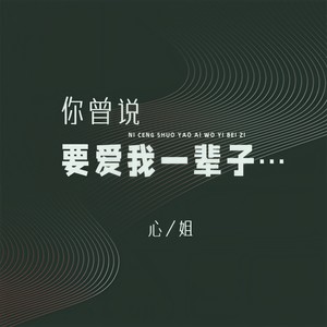 心姐 - 你曾说要爱我一辈子 (伴奏)