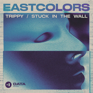 Stuck In The Wall
