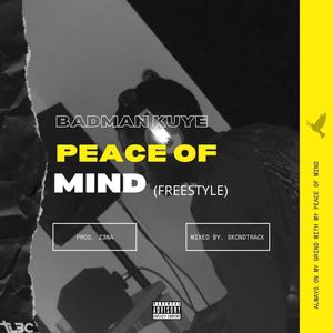 Peace of Mind (Freestyle) [Explicit]