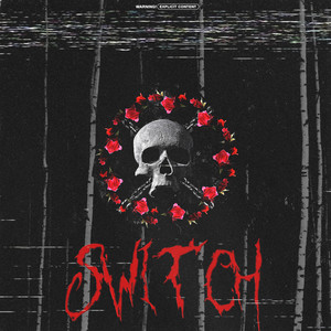Switch