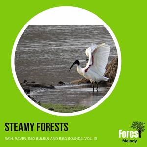 Steamy Forests - Rain, Raven, Red Bulbul and Bird Sounds, Vol. 10