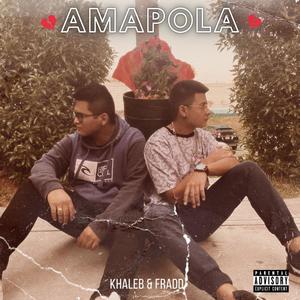 Amapola(feat. Fradd)