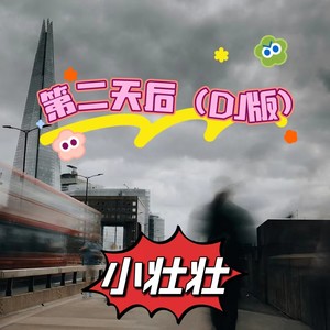 第二天后 (DJ版)