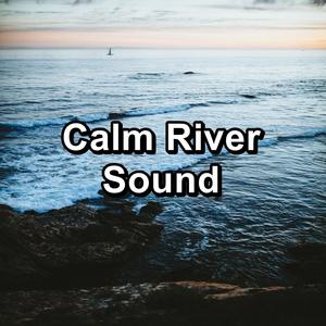 Echoes of Nature - Soothing Wave Sounds Water Sounds To Help with Meditation