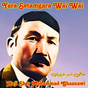 Yara Setamgara Wai Wai