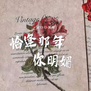 恰逢那年你明媚-吕口口