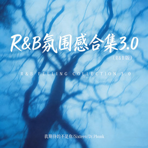 雨过后的风景 (R&B版)封面