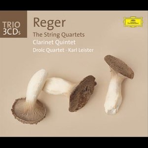 Reger: The String Quartets