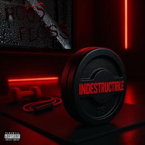 INDESTRUCTIBLE (Explicit)