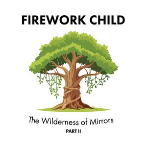 Wilderness of Mirrors (Part II)