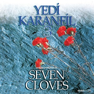 Yedi Karanfil 3