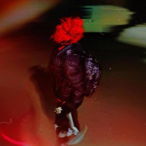 Jungla mea (feat. Yng Raul) (Explicit)