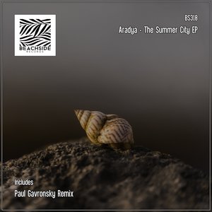 The Summer City (Paul Gavronsky Remix)