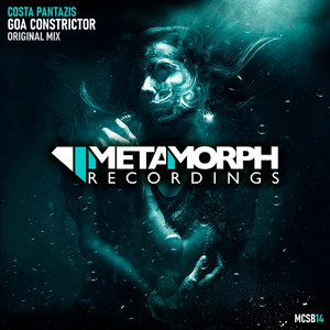 Goa Constrictor (Original Mix)