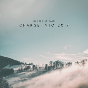 Charge into 2017