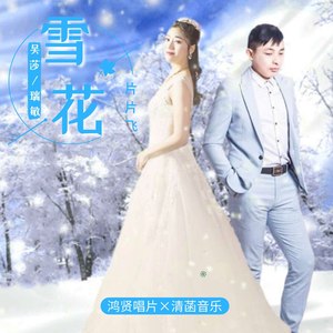雪花片片飞