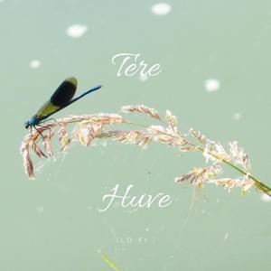 Tere Huve (Lo-fi)