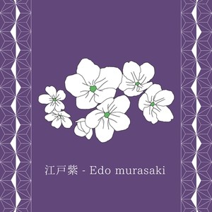 江戸紫 - Edo murasaki (feat. Hao & YUGO)