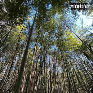 Ride wit me (feat. Z5) (Explicit)