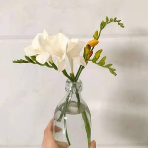 烟花易冷 (Demo)