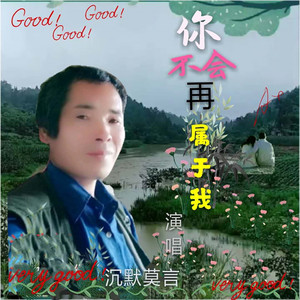 你不会再属于我