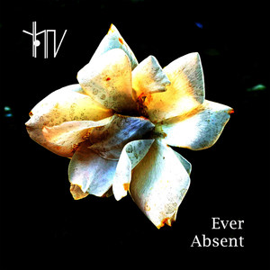 Ever Absent