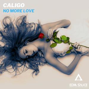 No More Love