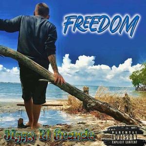 Freedom (Explicit)